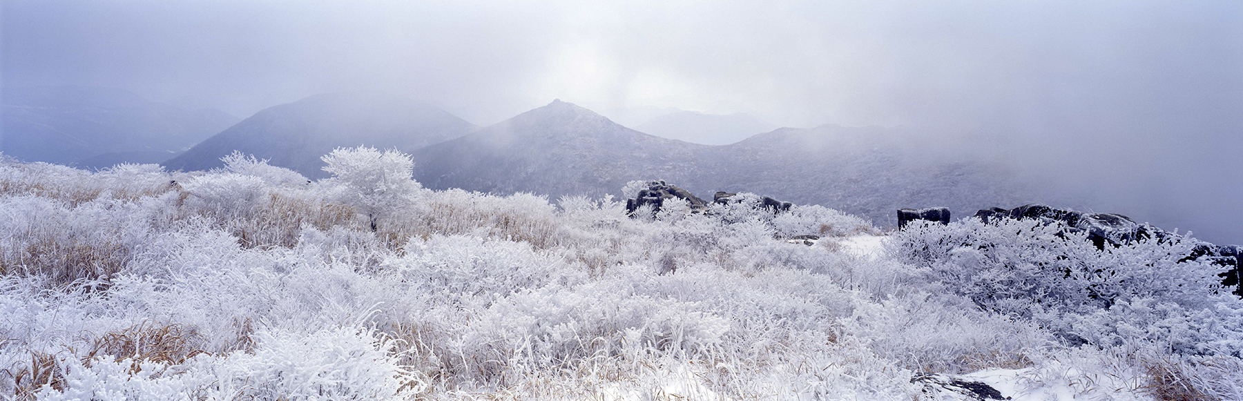 d1c662e116d950fc0d99590a4c3bcebc_1513499297_2016.jpg d1c662e116d950fc0d99590a4c3bcebc_1513499297_2016.jpg