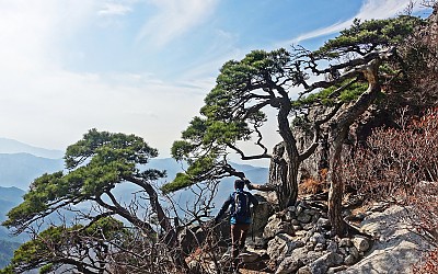가야산