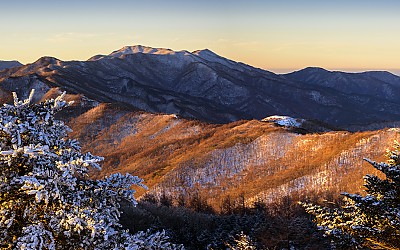 고생만 했습니다.