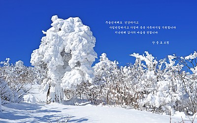 새해 복 많이 받으세요