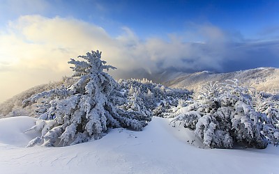 바래봉 떡상고대