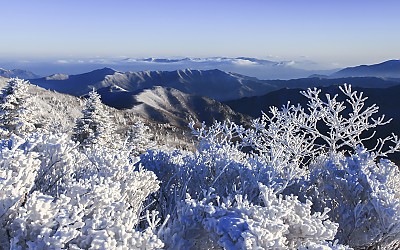 지난겨울 상고대