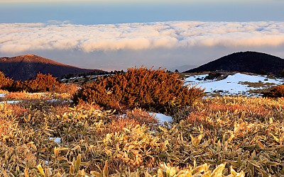 한라산.