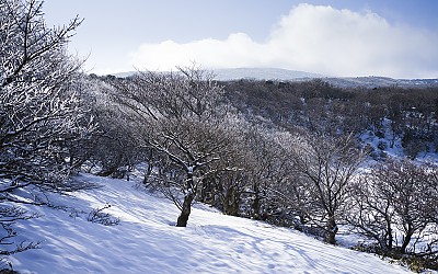 사라오름