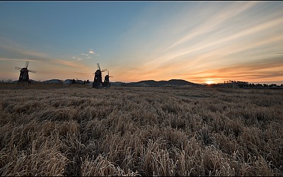 새해 복많이 받으세요