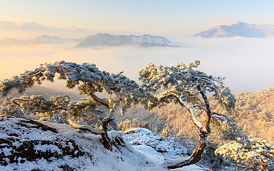 마이산.