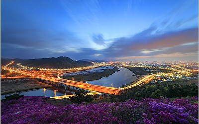와룡산 여명