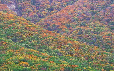 개명산 가을 단풍