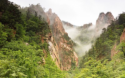 양폭에서.