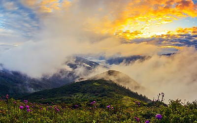 때가되어 갑니다