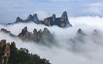 만나러 갑니다.