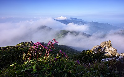 중봉의 오이풀#1