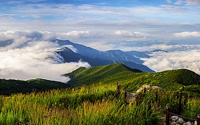 운무와 인간의 길