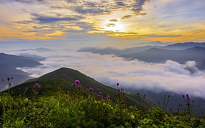 만복대 삼비장이