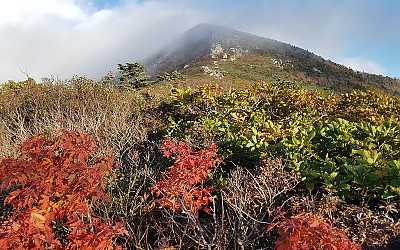 설악산 단풍 시작
