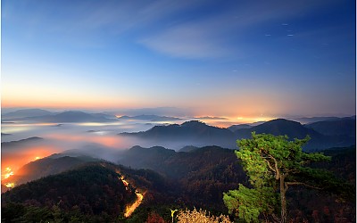 노니 염불한다고 ~^^