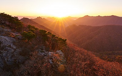 내장산