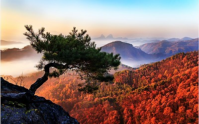 인상