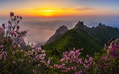 작년 오늘 세상에 처음