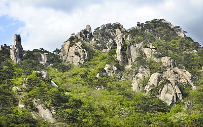 도봉산의 신록과 암봉의조화...