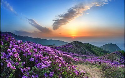 황매산
