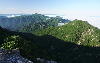 산영(山影)