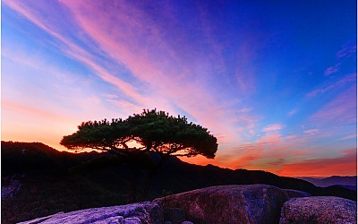 팔공산