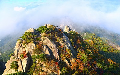 도봉산 신선대의 싱그러움