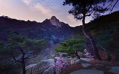 도봉산 봄날의 노을빛에 취하여....