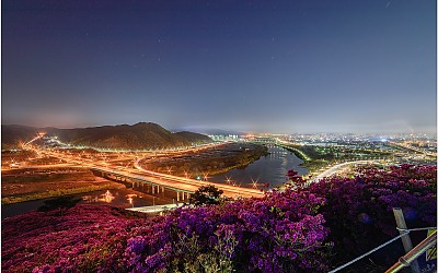 와룡산 야경