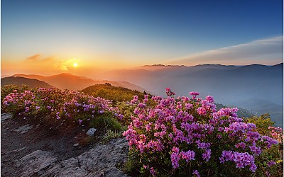 고리봉