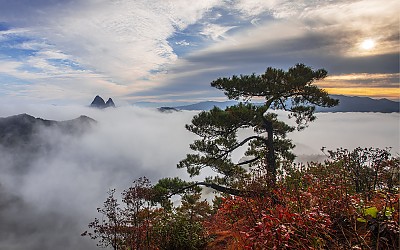 마이산을 넘는 운해