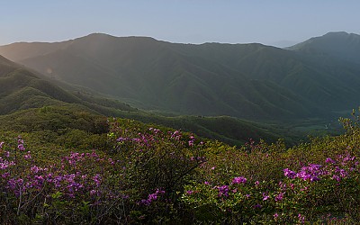 선각산