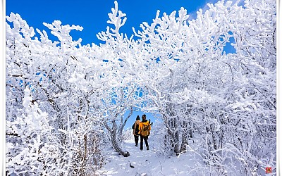 설원 속으로...