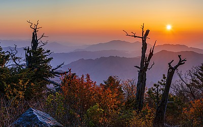 5월의 가을느낌