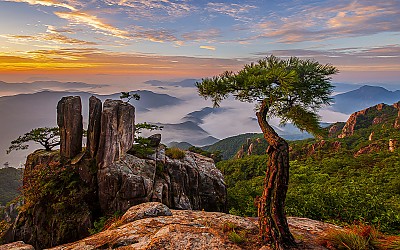 소나무와 삼남매 바위