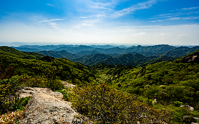 속리산의 봄
