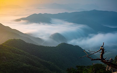 대둔산.