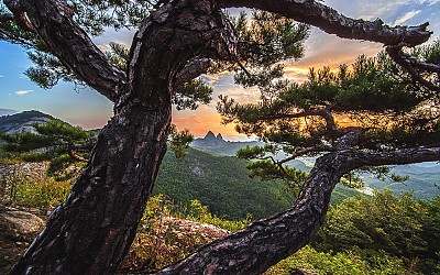 소낭구와 마이산