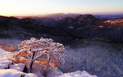 백암산(다시는 가고 싶지 않은 풍경)