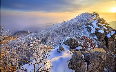 八公山 氷花