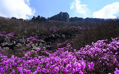 2017년 오늘