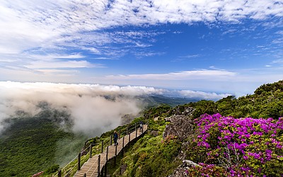 한라산 2
