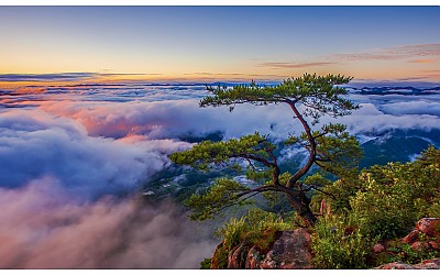 대둔산