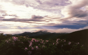 再生.태백에서!