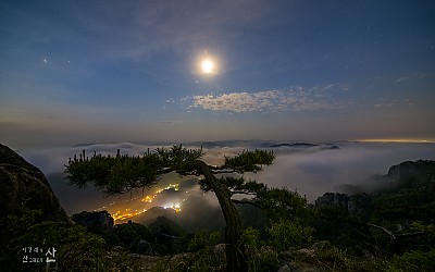 달밝은 밤에 소나무 밑에 홀로 앉아!!