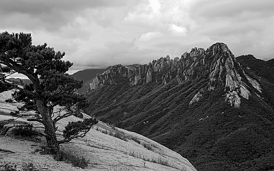 솔향을 찾아서 - 성인대와 울산바위