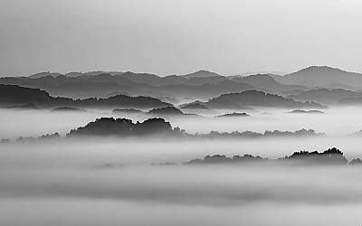 동네 뒷산에 올라.