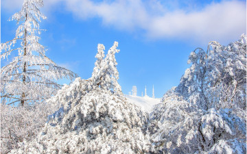 함백산이래유 !!!