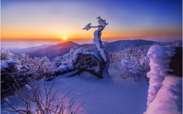 태백산이래유~!!